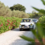 MARIAGE - PROVENCE - CHATEAU DE L'AUMERADE